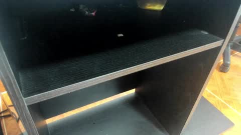 Snapshot of miia_taylor_1_ chatting on February 24, 11:08 am Mia online show from February 24, 11:08 am