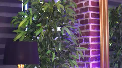 Milla online show from September 20, 6:55 am