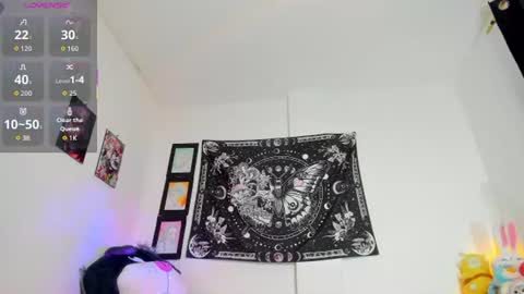         online show from July 23, 9:17 am