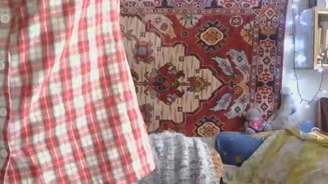 Elis online show from March 11, 11:47 am