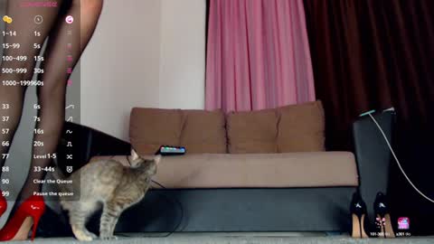 MissAnn online show from December 14, 3:47 pm