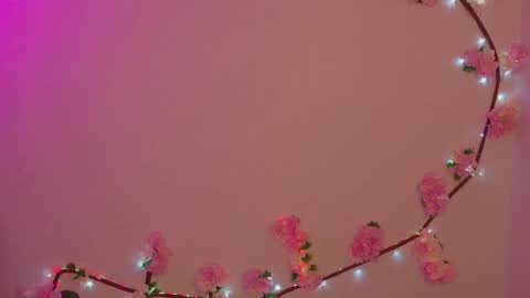 Im a independent model  Welcome online show from March 12, 5:04 pm