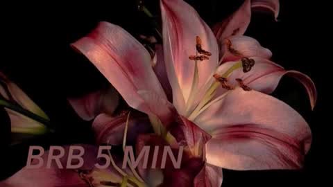 Sofia     online show from February 15, 1:30 am