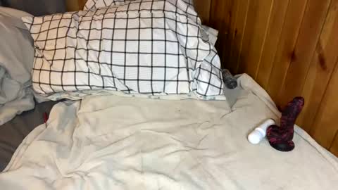 Morrigan Phantom online show from February 4, 3:36 pm