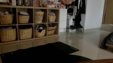   online show from December 3, 5:34 pm