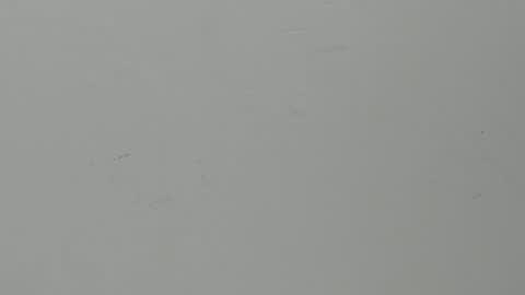 nahommybell online show from April 12, 11:57 am