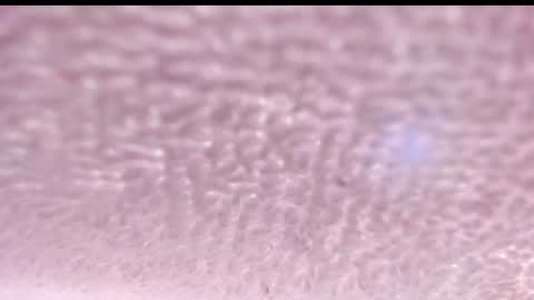 Snapshot of natalia_collinslim chatting on December 4, 3:26 am Natalia online show from December 4, 3:26 am