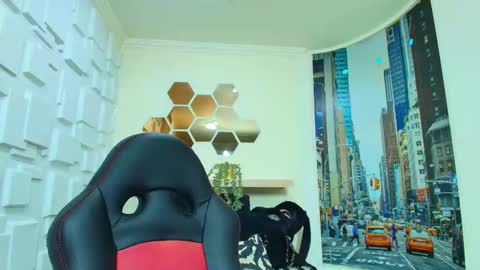 Kitten online show from February 14, 11:56 am