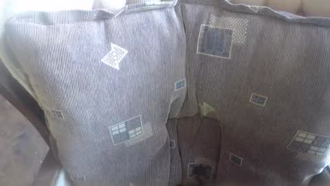 Lilly  online show from October 17, 9:34 am