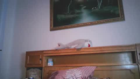 Nicholle online show from January 6, 2:47 pm