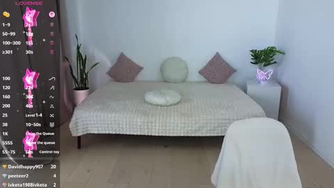 Nika light online show from October 16, 11:24 am