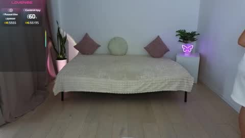 Nika light online show from November 9, 12:34 pm