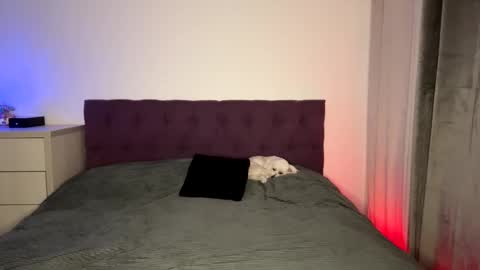 Tina online show from November 8, 8:58 pm