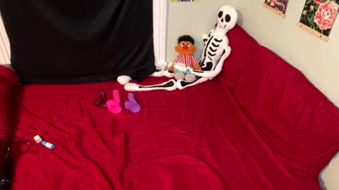 Nymphaea online show from October 20, 12:35 am