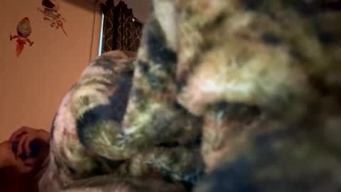 ogtripmushem online show from October 31, 9:41 pm