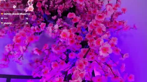 olive  online show from September 26, 6:44 am