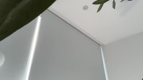 Olivia Brookes online show from November 30, 9:19 pm