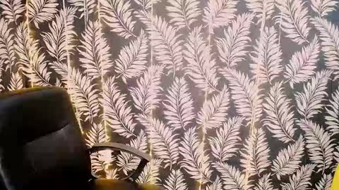 Kelly online show from February 9, 2:30 pm