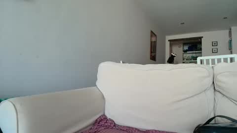 Merce   online show from October 7, 10:30 am