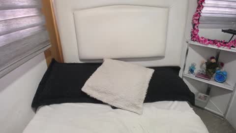 Palmer online show from January 13, 12:24 pm