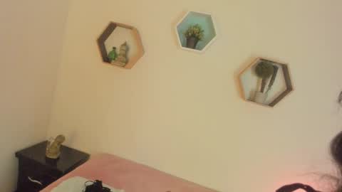 Paloma  online show from February 2, 9:58 pm