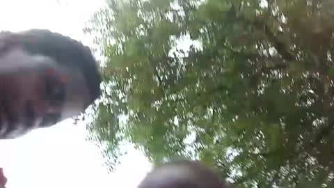 lavine online show from October 27, 8:21 am