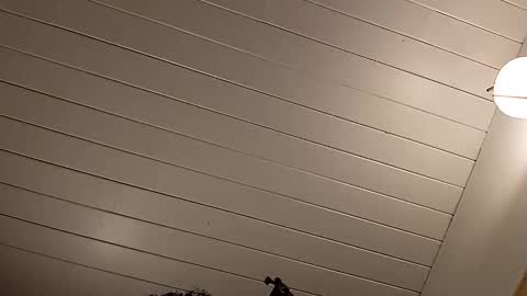 The Deity Hatshepsut online show from January 14, 3:00 am