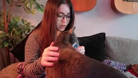 PilloGoddess online show from March 24, 5:24 am