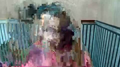 Kate online show from March 31, 6:46 am