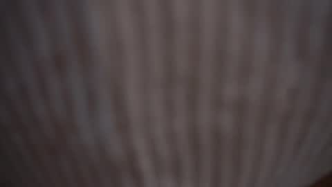 Assi  Incognito girl online show from February 9, 11:14 am