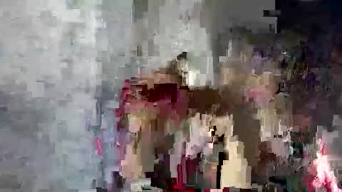 Paola online show from April 13, 3:30 am