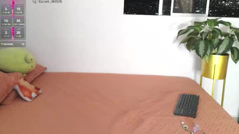 Raven online show from November 4, 12:04 am