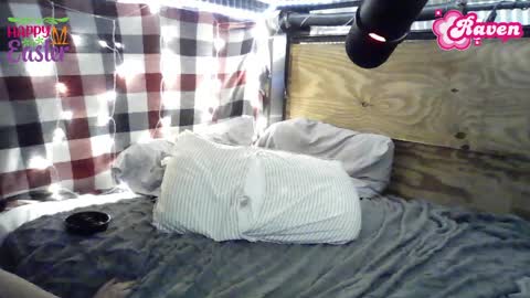 Raven online show from April 6, 4:46 am