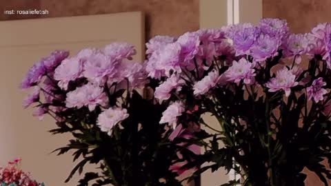 Rosalie online show from March 31, 3:50 am