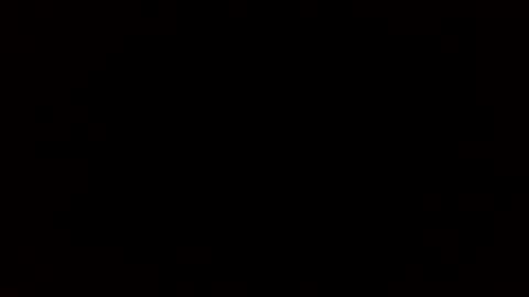 Rose online show from November 24, 10:28 am