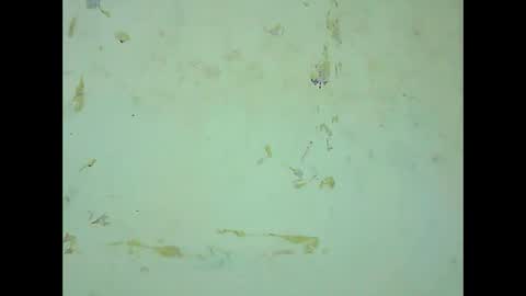 rosie6601 online show from March 21, 8:19 am