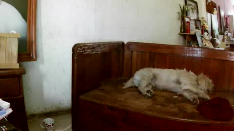 ruby  chocoholic cakeholic coffeeholic cookieholic online show from March 26, 12:35 am