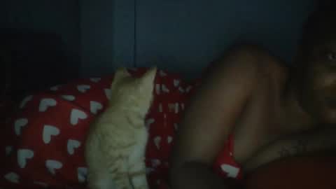 sapgaal online show from January 17, 2:41 am