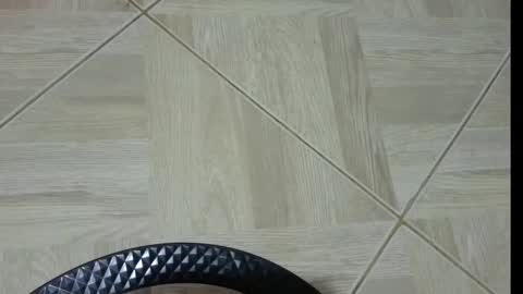 sasha start online show from February 7, 9:47 am