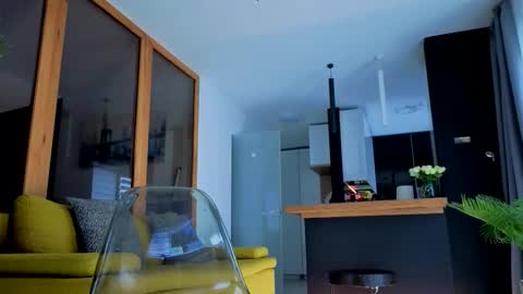 Wild influence online show from November 29, 12:31 pm