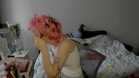 Rina online show from November 12, 7:28 am