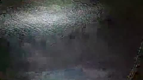 Sunny online show from October 2, 7:35 am