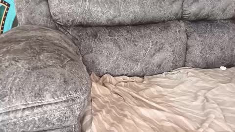 sexxy online show from December 21, 1:37 pm