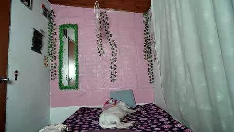 sexy lolas online show from March 22, 12:49 am