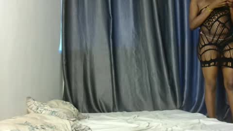 ZENZI online show from April 13, 10:16 am