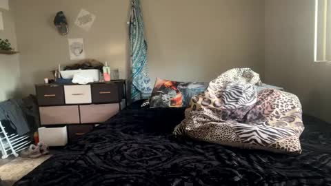 Snapshot of shamanwoman chatting on December 28, 12:04 am Shaman Woman online show from December 28, 12:04 am