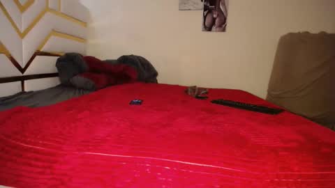 shawry online show from November 29, 11:36 am