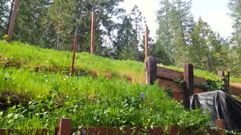 Aurora Wolfe  Shy College Girl  Top 16 of all OF Creators online show from March 23, 6:58 pm