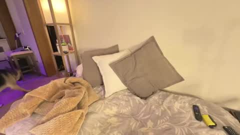 Carolina online show from November 14, 7:30 am