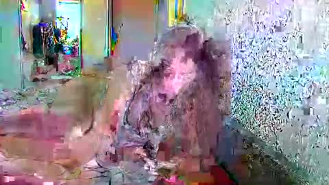 Sofi online show from April 15, 2:06 pm